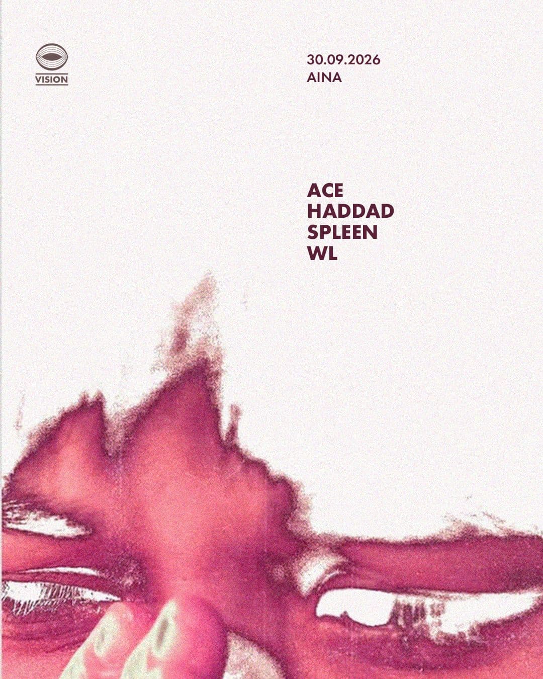 Vision - AÏNA